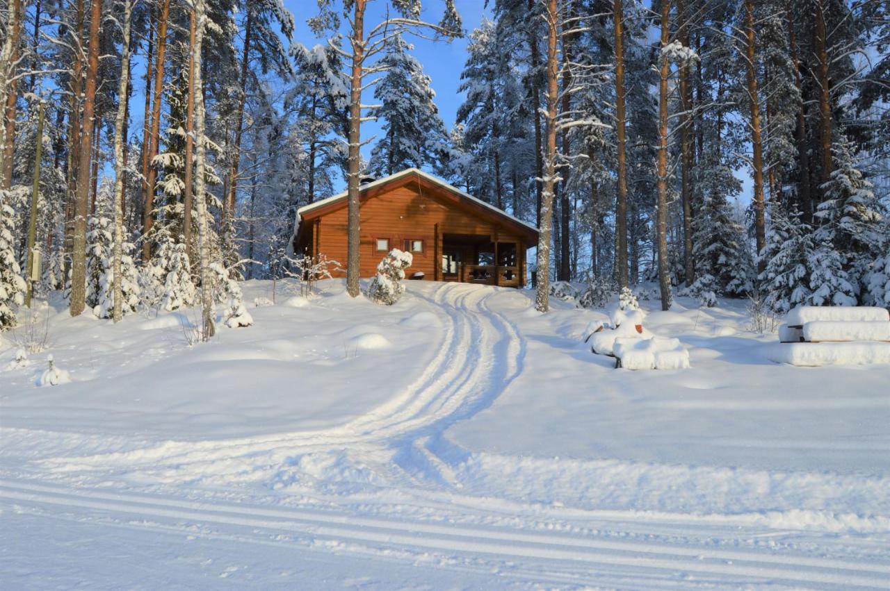 Rinnepelto Holiday Cottages Tahkovuori Luaran gambar